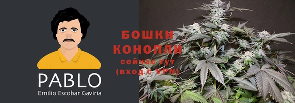 ГАЛЛЮЦИНОГЕННЫЕ ГРИБЫ Балабаново