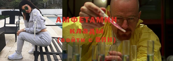 ГАЛЛЮЦИНОГЕННЫЕ ГРИБЫ Балабаново