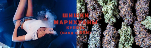 ГАЛЛЮЦИНОГЕННЫЕ ГРИБЫ Балабаново