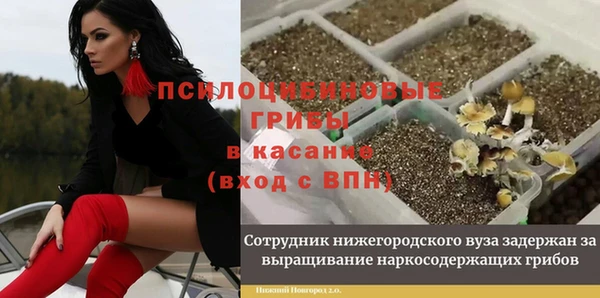 ГАЛЛЮЦИНОГЕННЫЕ ГРИБЫ Балабаново