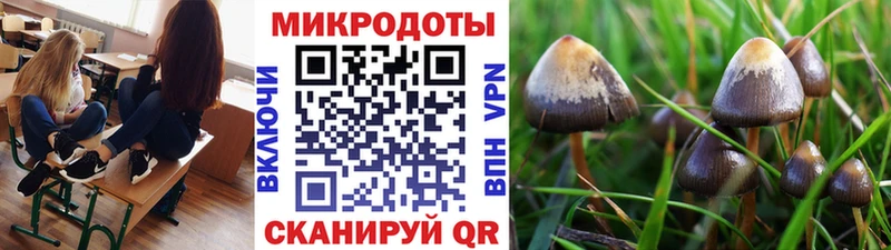 Галлюциногенные грибы прущие грибы  Юрьев-Польский 